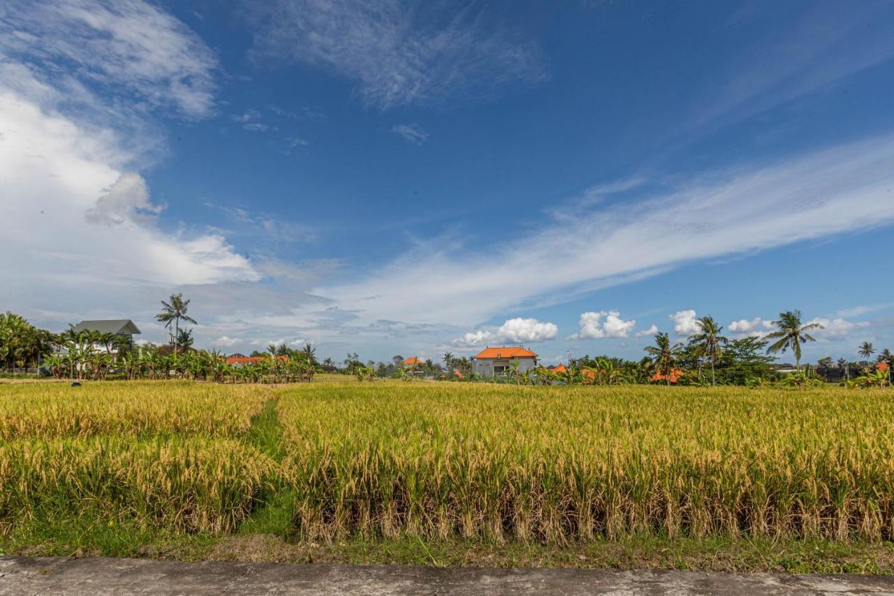 D'Jineng Rice Terrace Canggu Екстер'єр фото